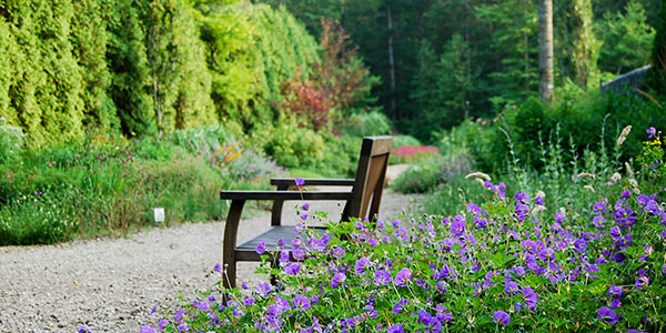 ドライガーデン