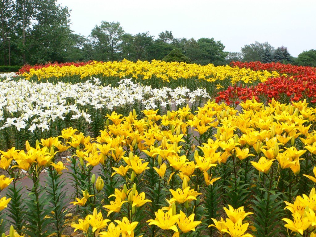 百合が原公園